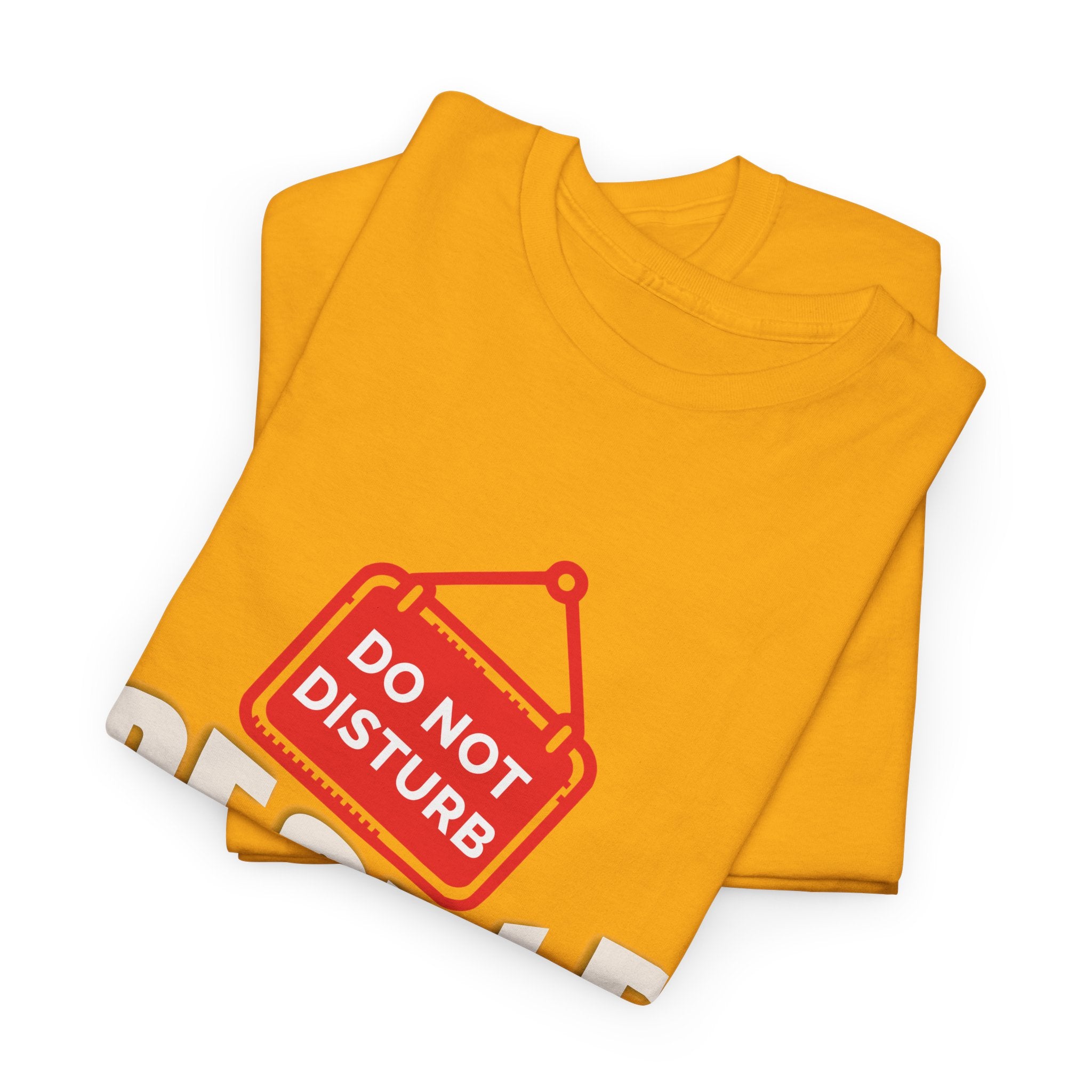 Do Not Disturb People T-Shirt — “People Not a Big Fan” Funny Anti-Social Tee