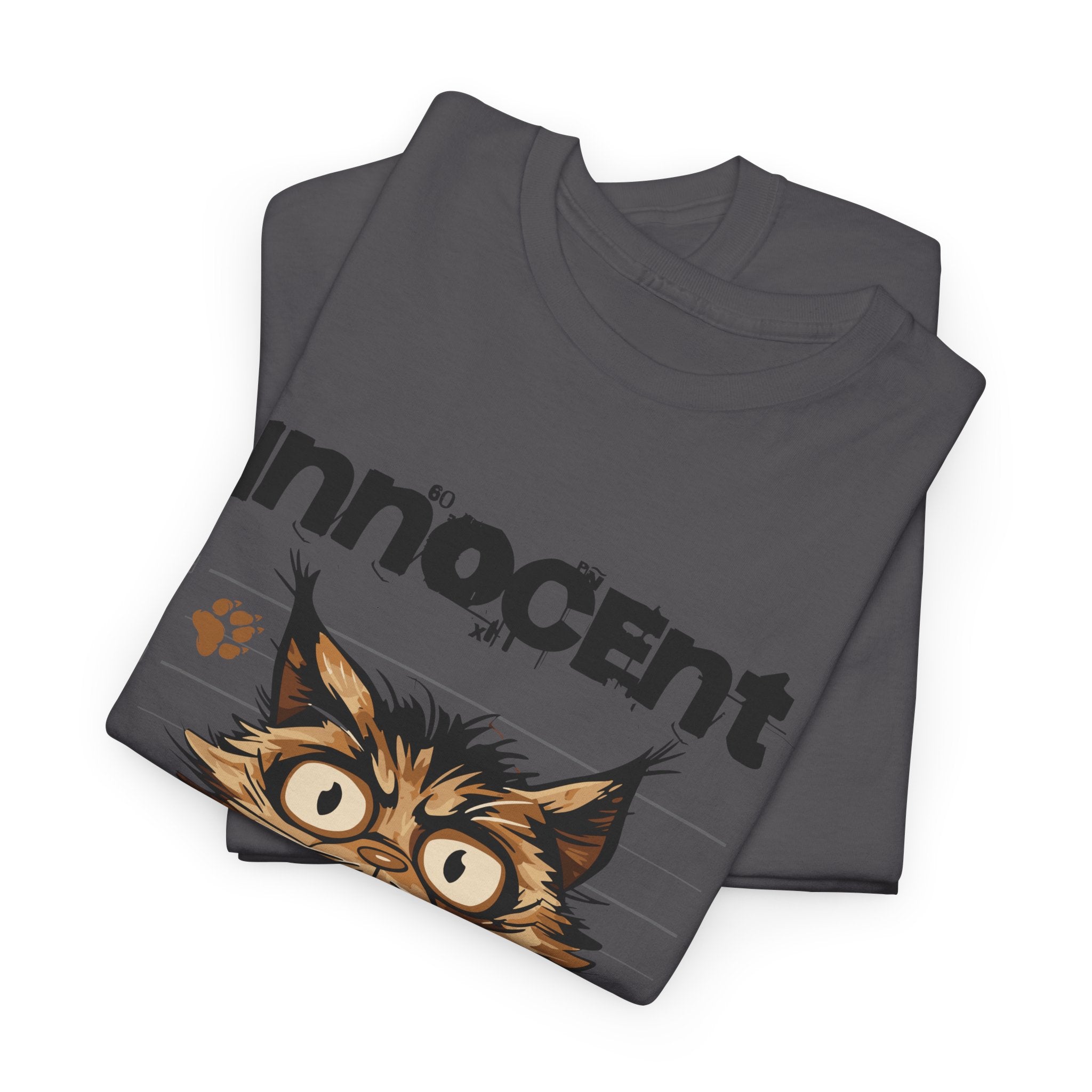 Innocent I Didn&