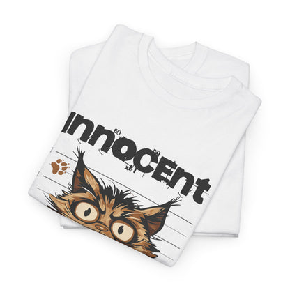 Innocent I Didn&