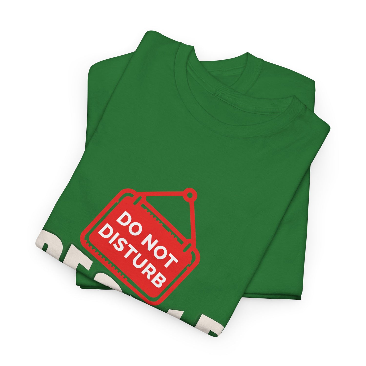 Do Not Disturb People T-Shirt — “People Not a Big Fan” Funny Anti-Social Tee