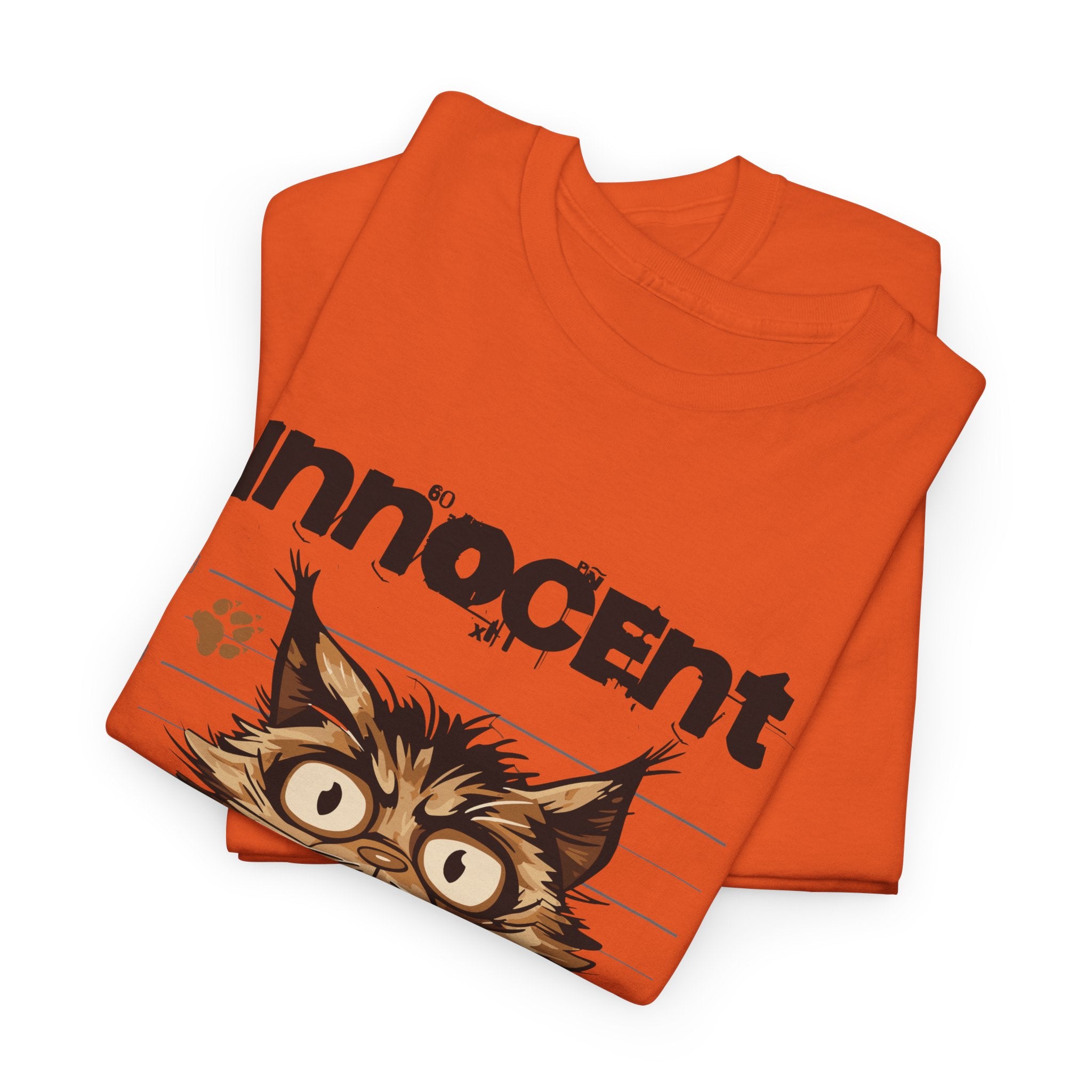 Innocent I Didn&