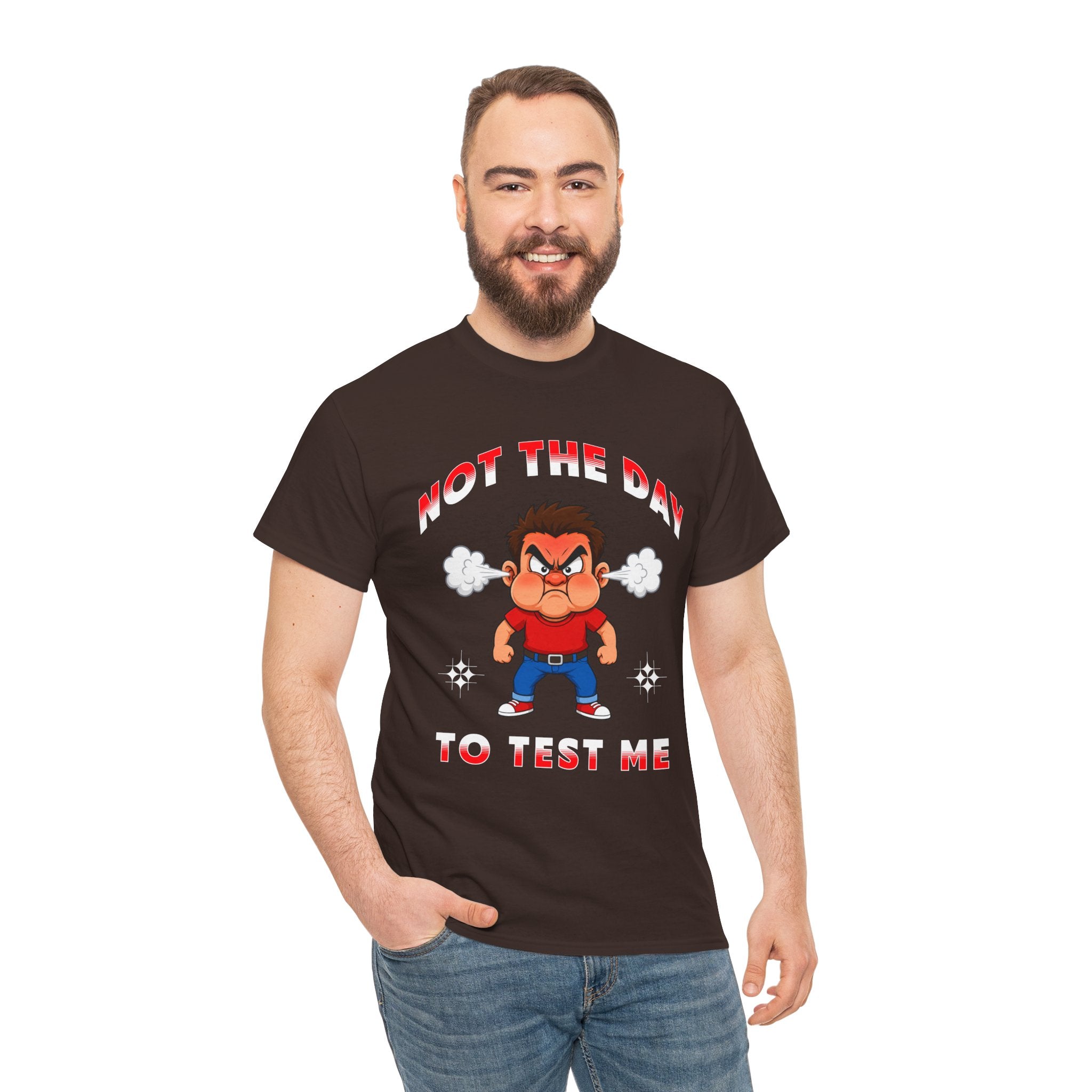 Not The Day To Test Me – Funny Angry Cartoon T-Shirt