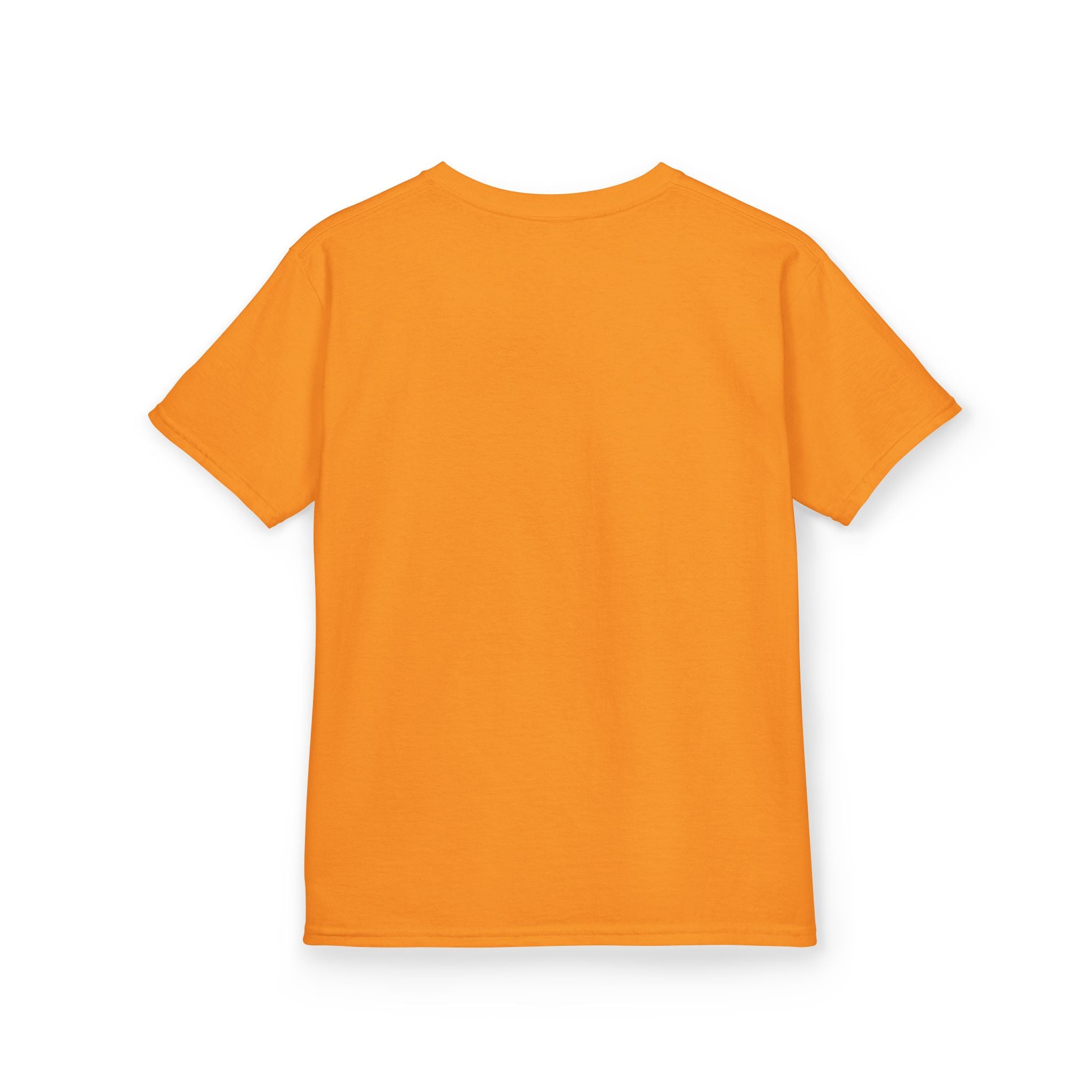 Kids Tee — "Dinosaurs Will Rise Again" Retro T-Rex Graphic