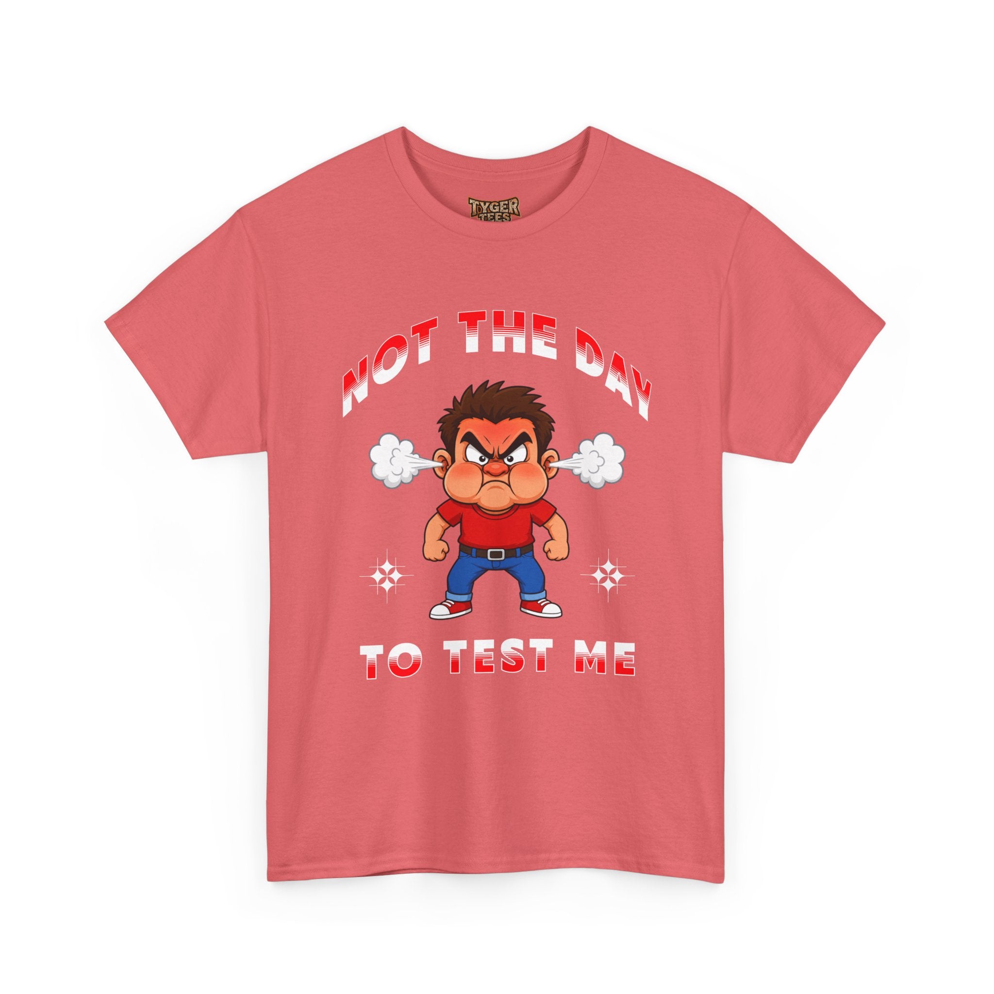 Not The Day To Test Me – Funny Angry Cartoon T-Shirt