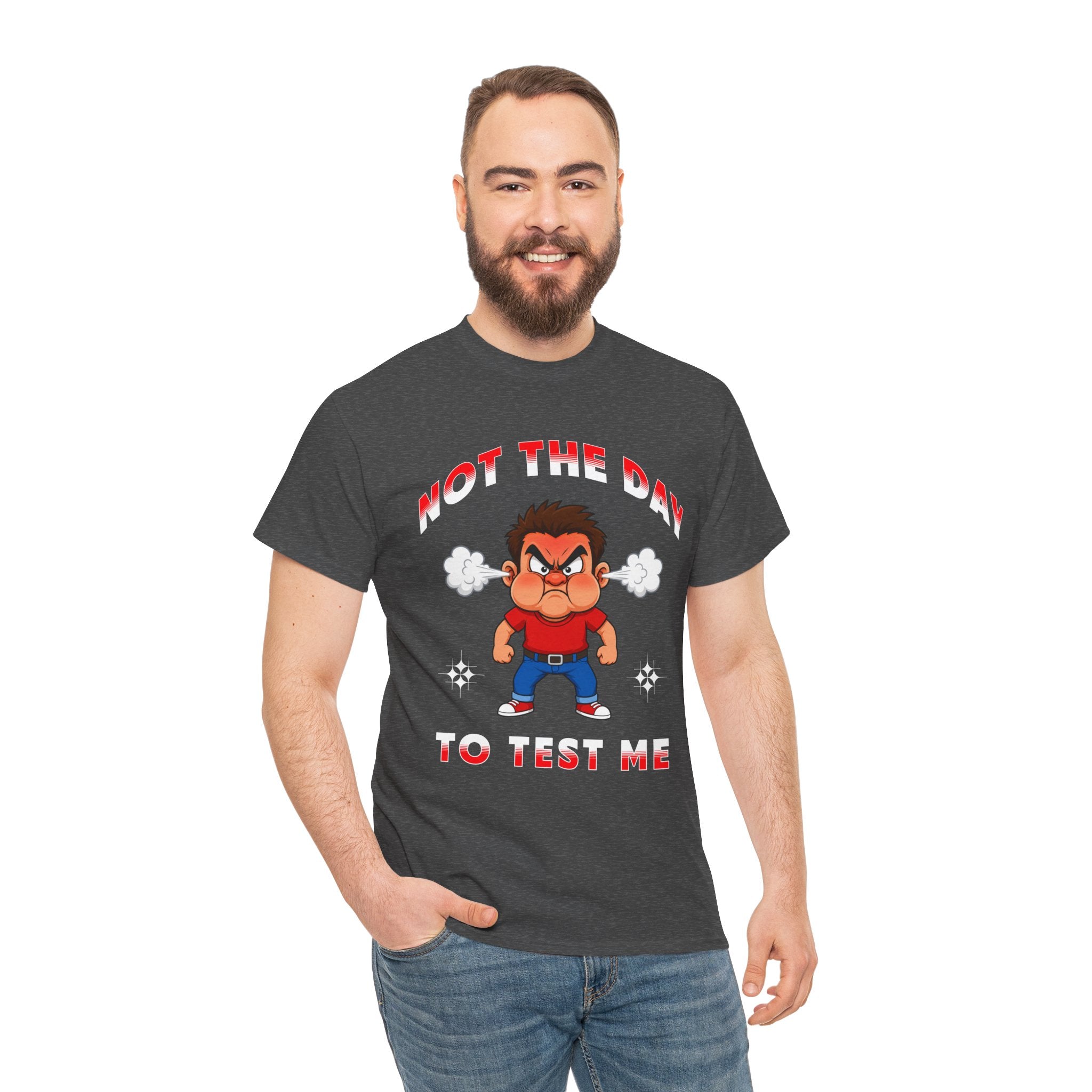Not The Day To Test Me – Funny Angry Cartoon T-Shirt