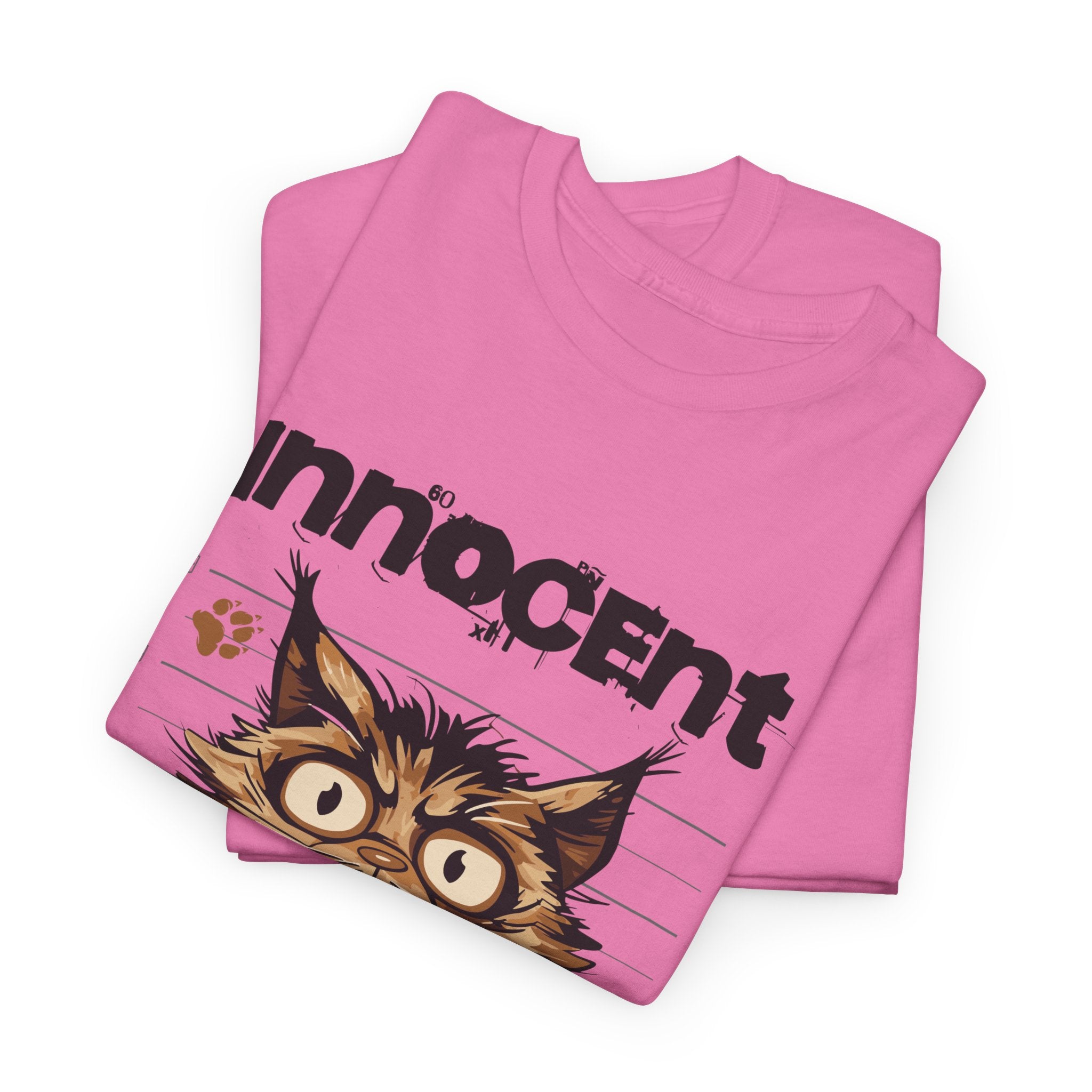 Innocent I Didn&