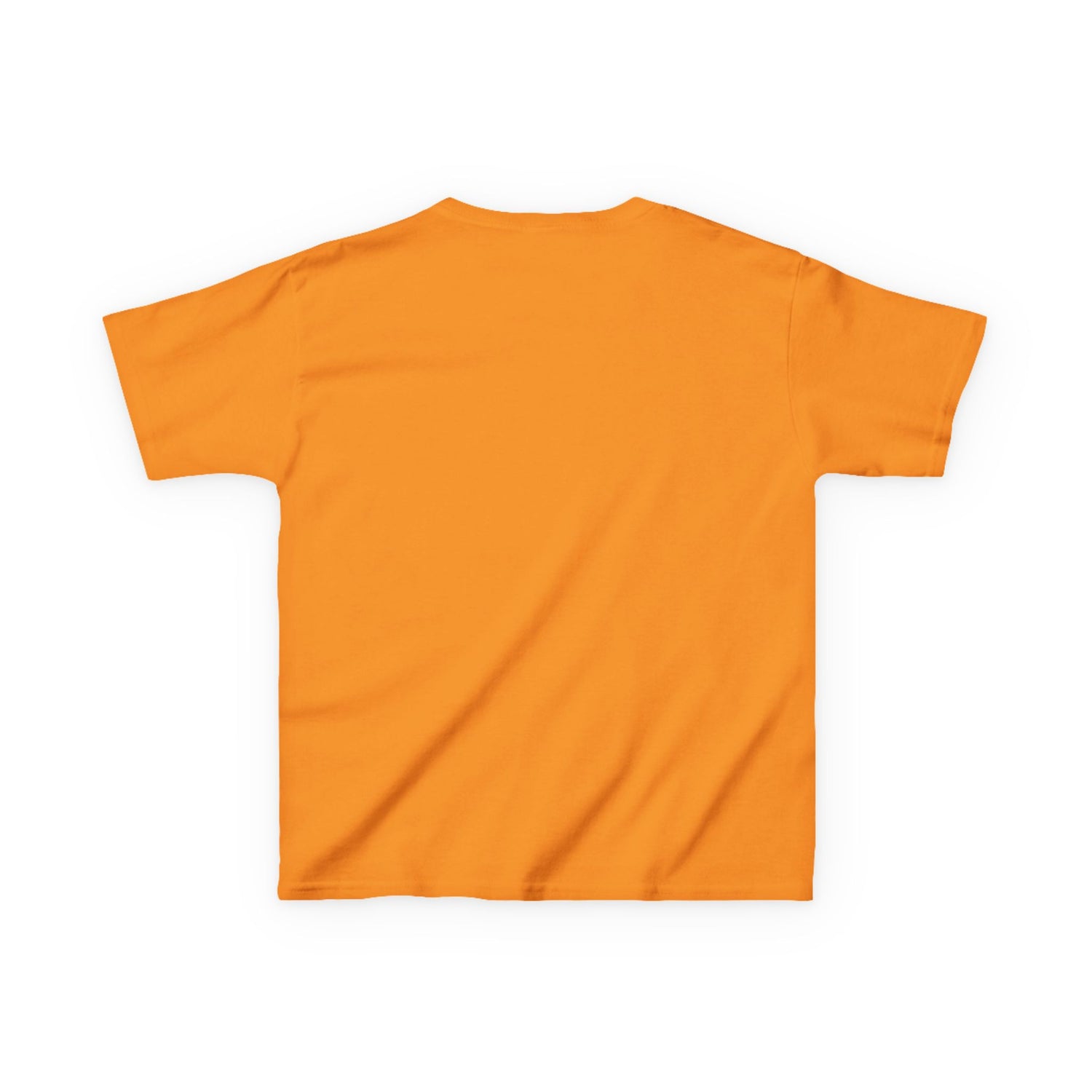 Kids Tee — "Dinosaurs Will Rise Again" Retro T-Rex Graphic