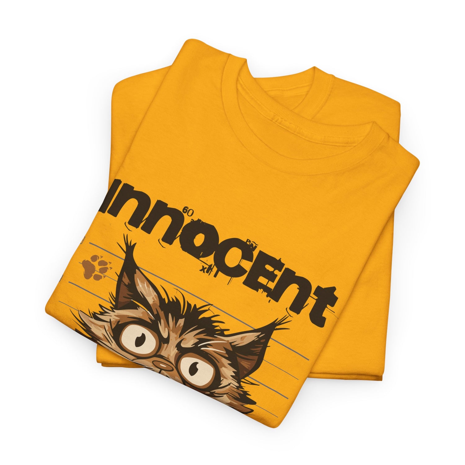 Innocent I Didn&