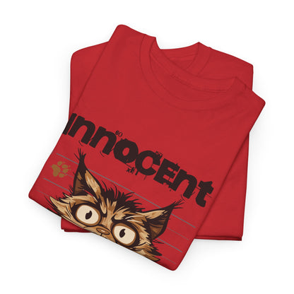 Innocent I Didn&