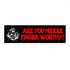 Are You Middle Finger Worthy Bumper Sticker