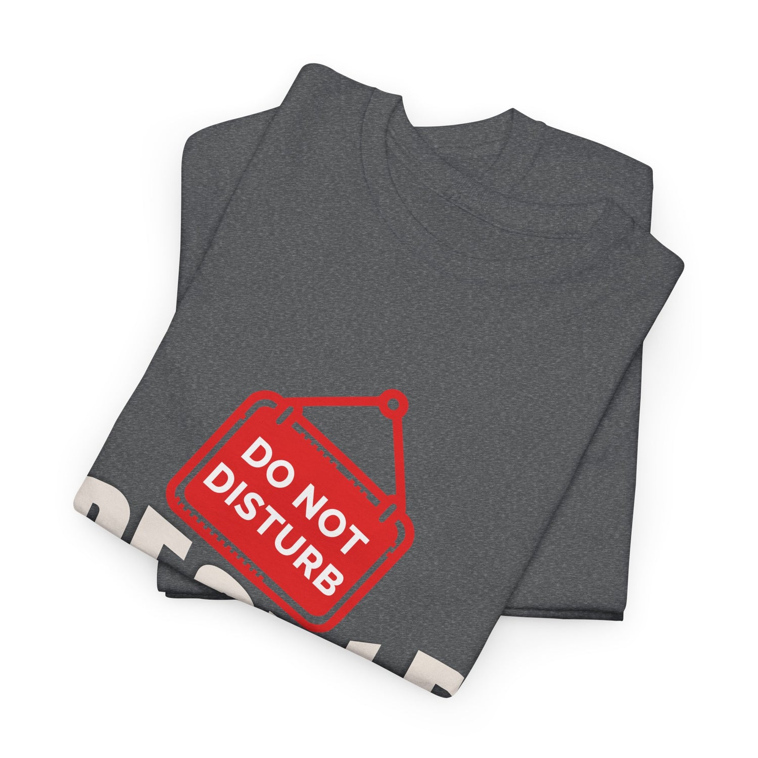 Do Not Disturb People T-Shirt — “People Not a Big Fan” Funny Anti-Social Tee