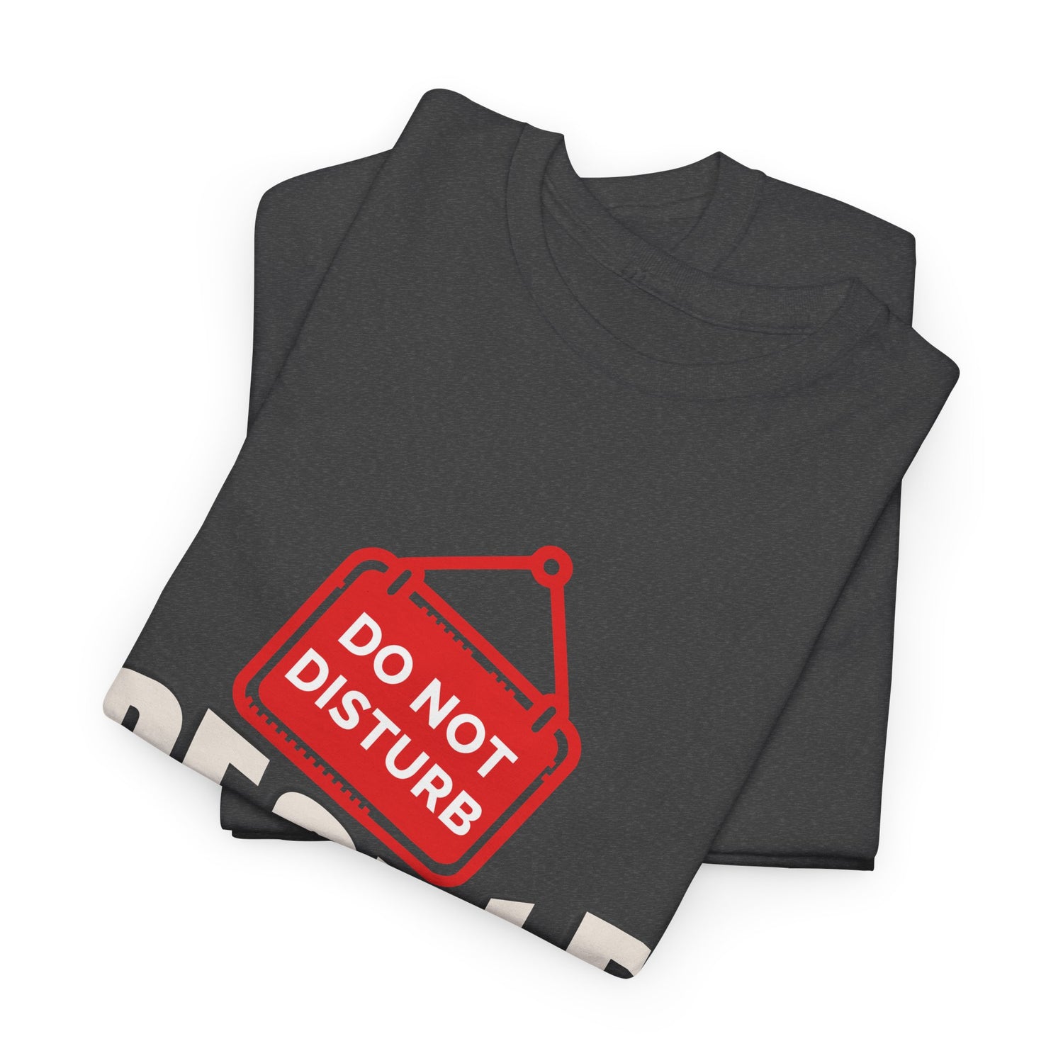 Do Not Disturb People T-Shirt — “People Not a Big Fan” Funny Anti-Social Tee